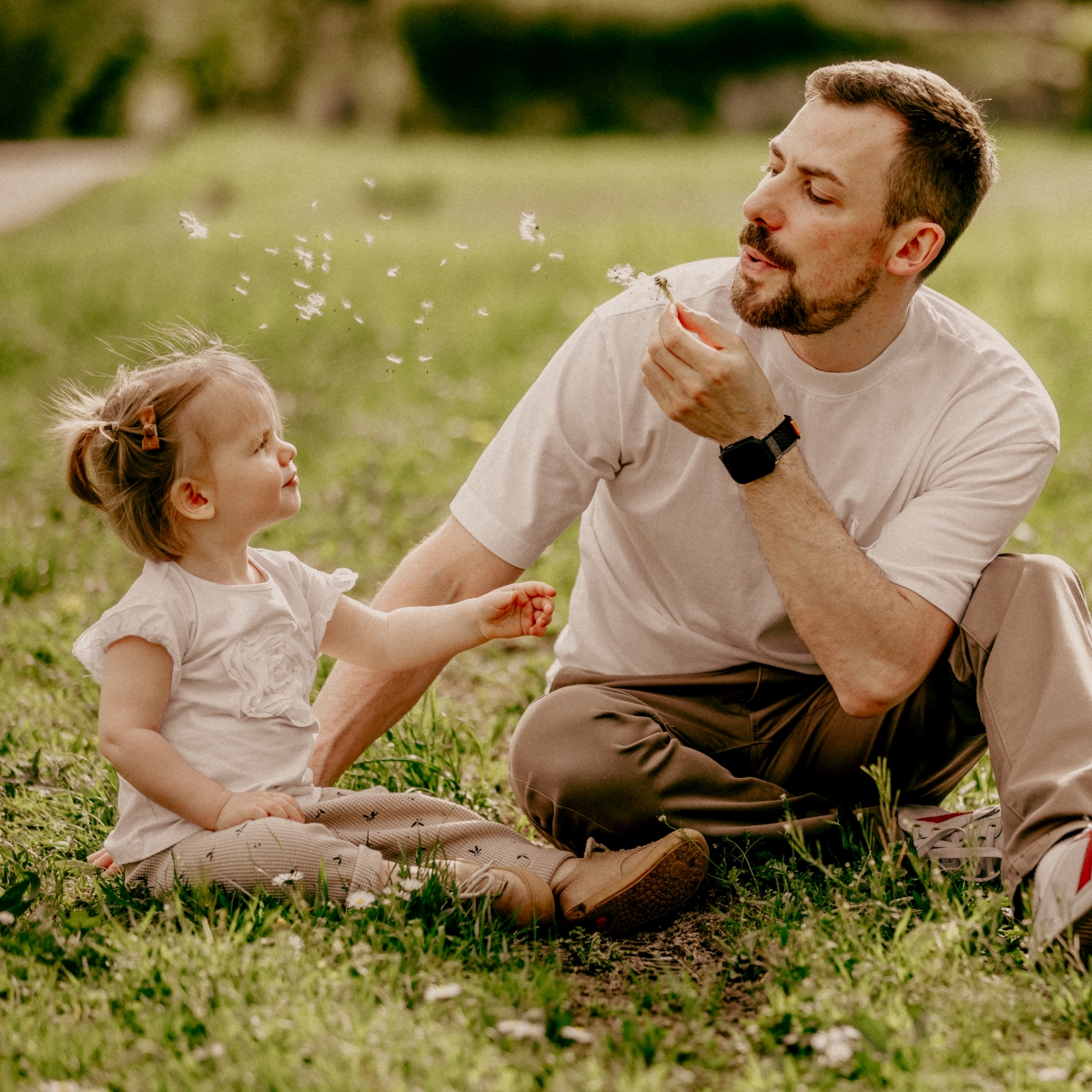 Papa mit Tochter mit Pusteblume auf Sommerwiesen beim Familien-Fotoshooting
