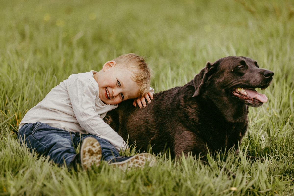 Junge in der Natur mit Hund beim Familien-Fotoshooting
