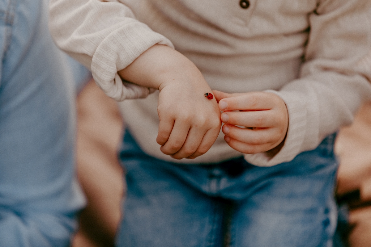 Marienkäfer auf Kinderhand beim Familien-Fotoshooting